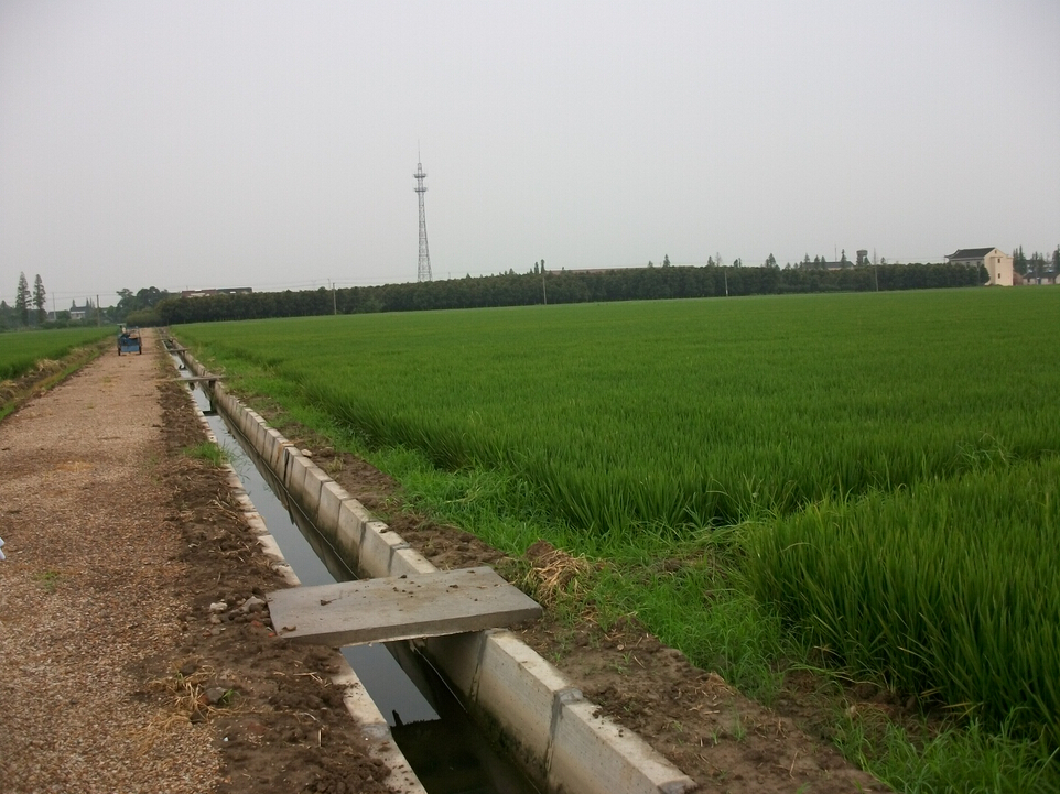 （2014）陽春市春灣鎮新和村、新明村高標準基本農田建設項目